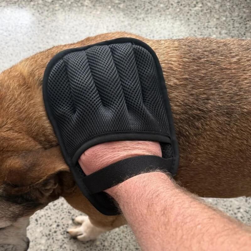 K9Curations™ The Fluff Off Mitt