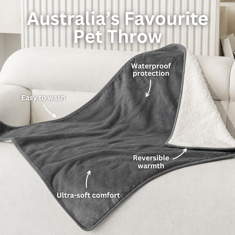 K9Curations™ The Oops-Proof Pet Throw