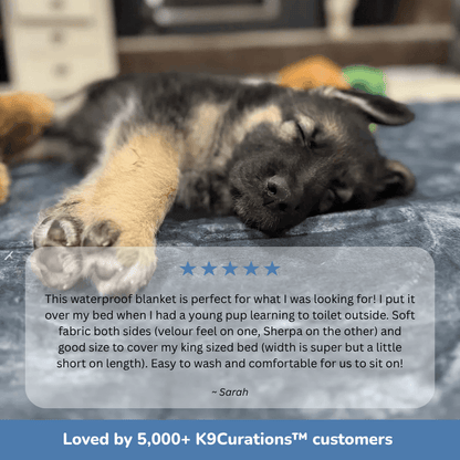 K9Curations™ The Oops-Proof Throw